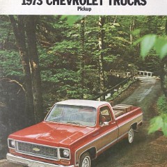 1973_Chevrolet_Pickups_Brochure