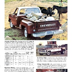 1975_Chevrolet_Pickups-05