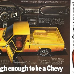 1979_Chevrolet_LUV-06-07