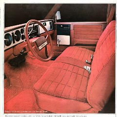 1982_Chevrolet_S-10_Pickup-07