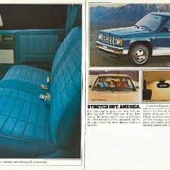1982_Chevrolet_S-10_Pickup-10-11