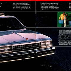 1983_Chevrolet_People-Carriers-06-07