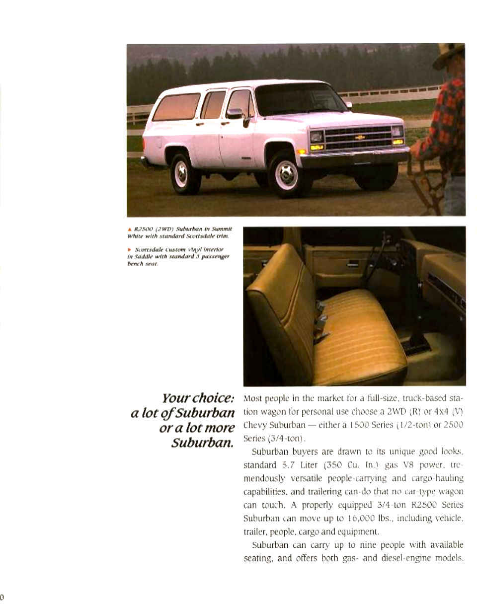 1991_Chevrolet_Vans__SUVs-60