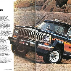 1981_Jeep_Pickup-02-03