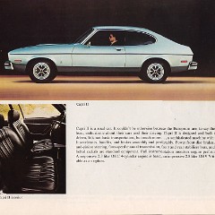 1976_Lincoln-Mercury-11
