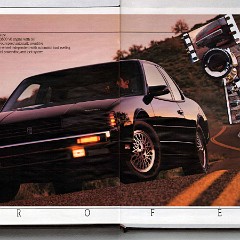 1989_Oldsmobile_Full_Size_Prestige-12-13
