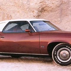 1973 Pontiac