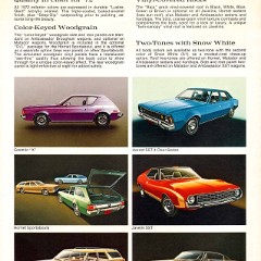 1972_AMC_Exterior_Colors_Chart-02