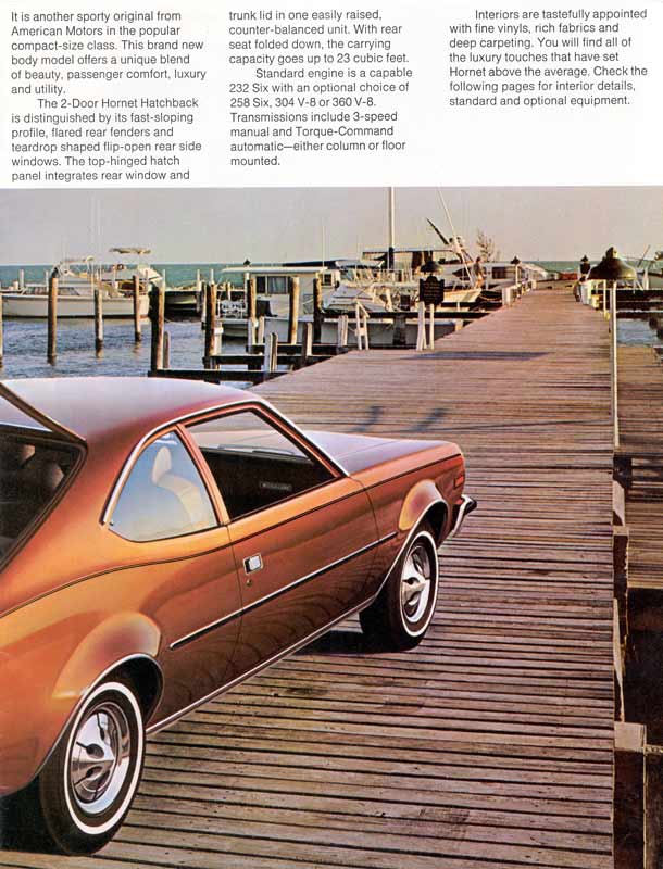 1973_American_Motors-06