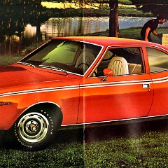 1974 AMC Full Line Prestige-20-21