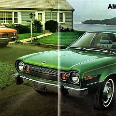 1974 AMC Full Line Prestige-28-29