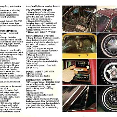 1976_AMC_Passenger_Cars_Prestige-06