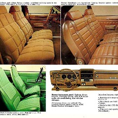 1976_AMC_Passenger_Cars_Prestige-20