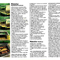1976_AMC_Passenger_Cars_Prestige-29