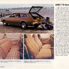 1976_AMC_Full_Line-13