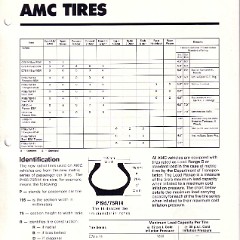1980_AMC_Data_Book-B27