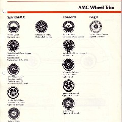 1980_AMC_Data_Book-C37