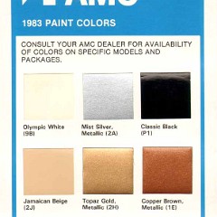 1983-AMC-Color-Chart