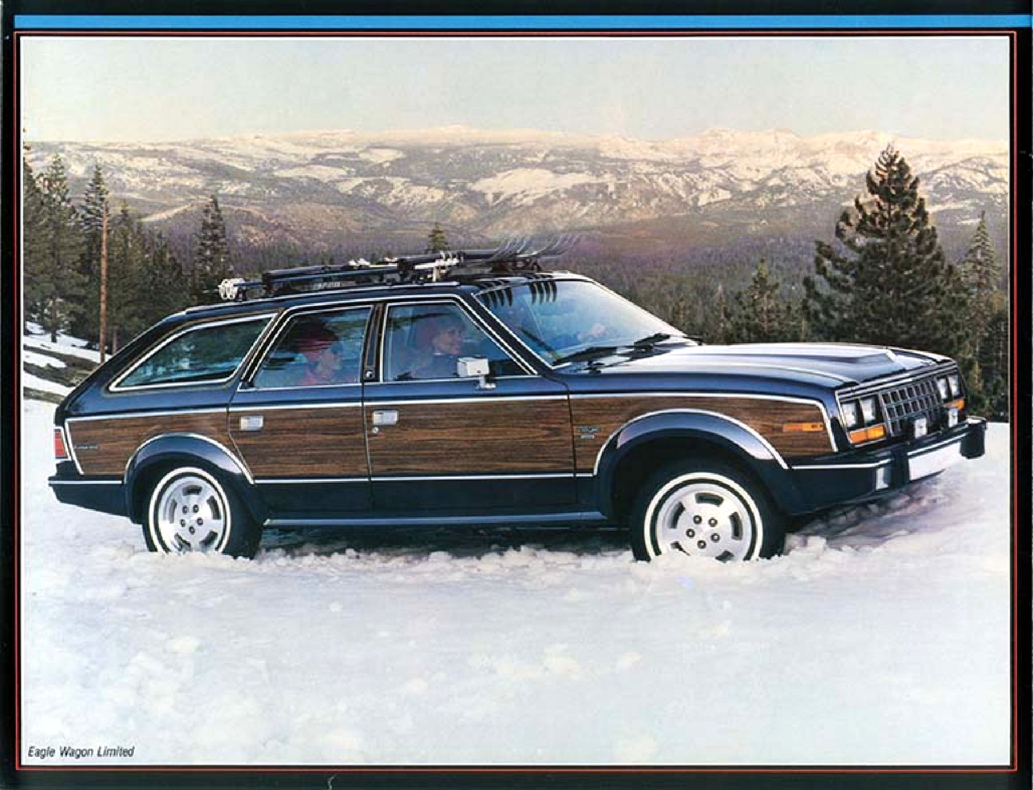 1985 AMC-Renault Full Line-14