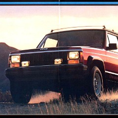 1985 AMC-Renault Full Line-08-09