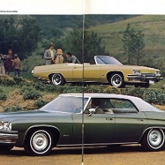 1973 Buick-30-31
