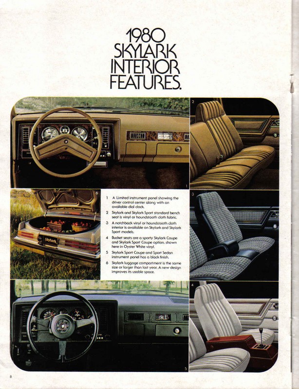 1980 Buick Skylark-08