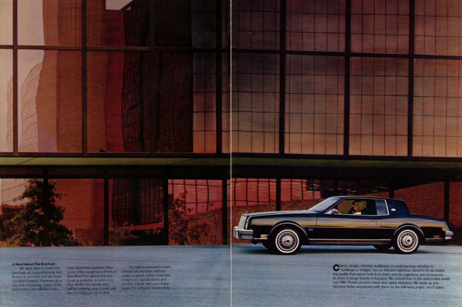 1981 Buick Full Line-02-03