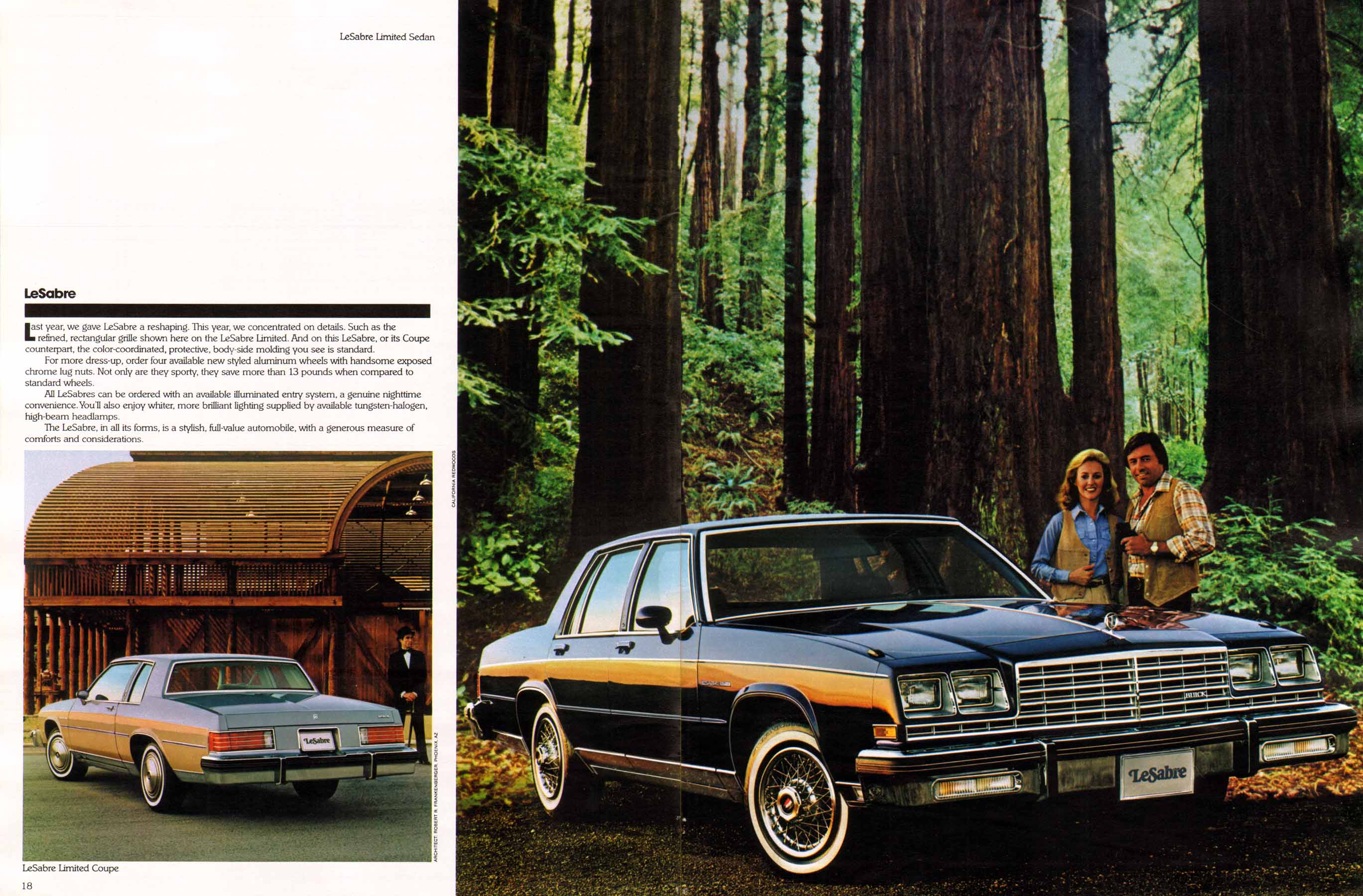 1981 Buick Full Line Prestige-18-19