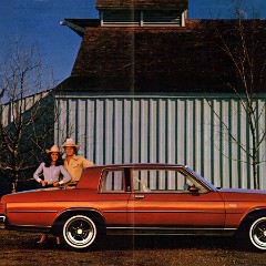 1981 Buick Full Line Prestige-16-17