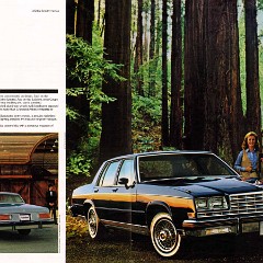 1981 Buick Full Line Prestige-18-19