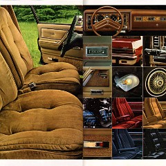 1981 Buick Full Line Prestige-38-39