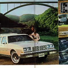 1981 Buick Full Line Prestige-42-43