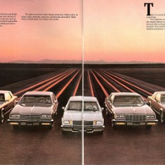 1982 Buick Full Line-02-03