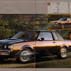 1984 Buick Full Line Prestige-22-23