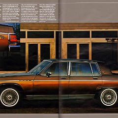 1984 Buick Full Line Prestige-52-53