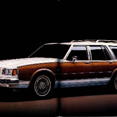 1988 Buick Full Line Prestige  Brochure-66-67