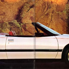 1991 Buick Full Line Prestige-22-23