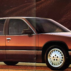 1991 Buick Full Line Prestige-30-31