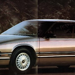 1991 Buick Full Line Prestige-36-37