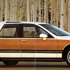 1991 Buick Full Line Prestige-70-71