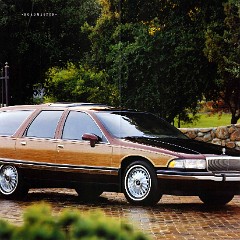 1994 Buick Full Line Prestige-30-31
