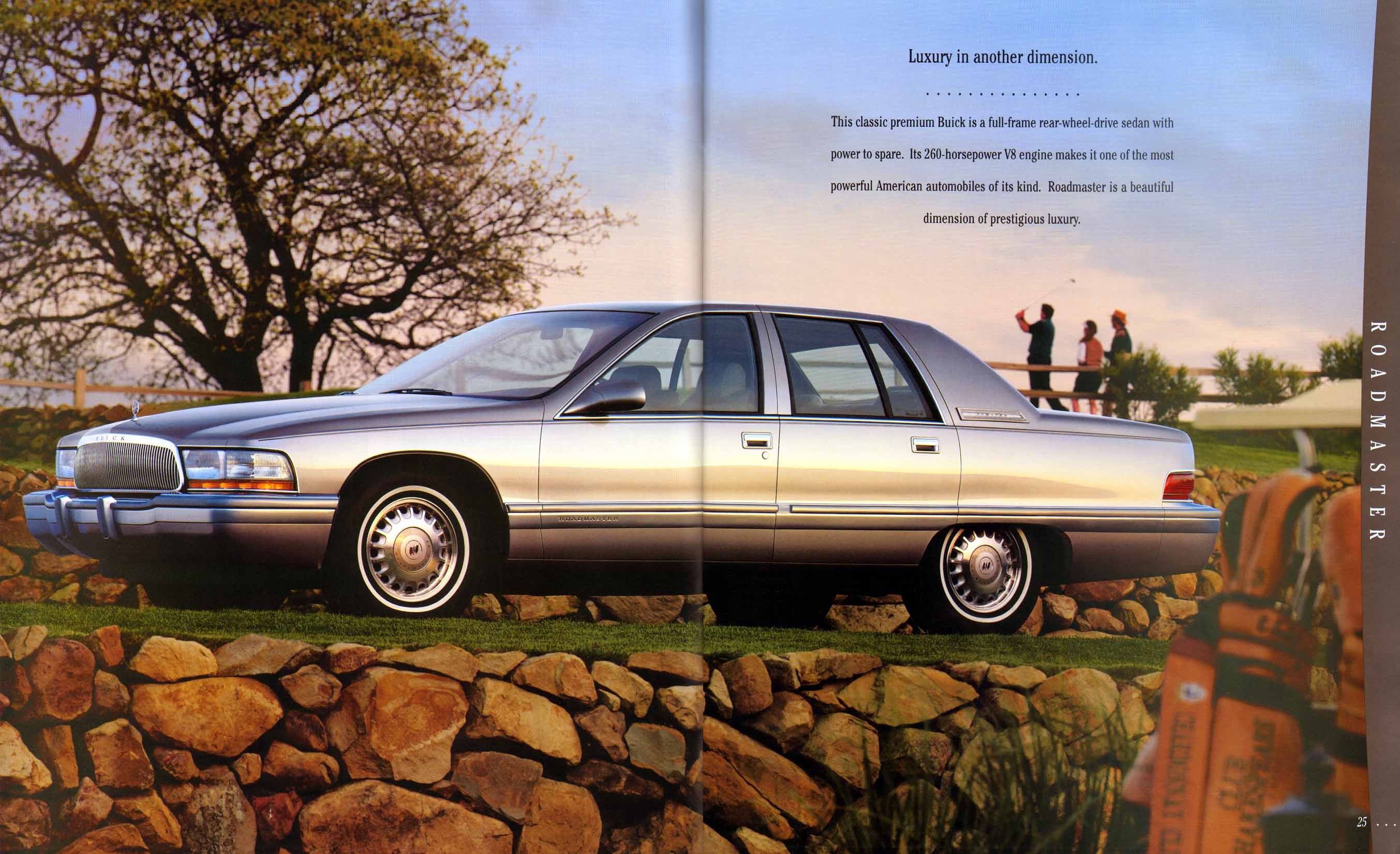 1995 Buick Full Line Prestige-24-25