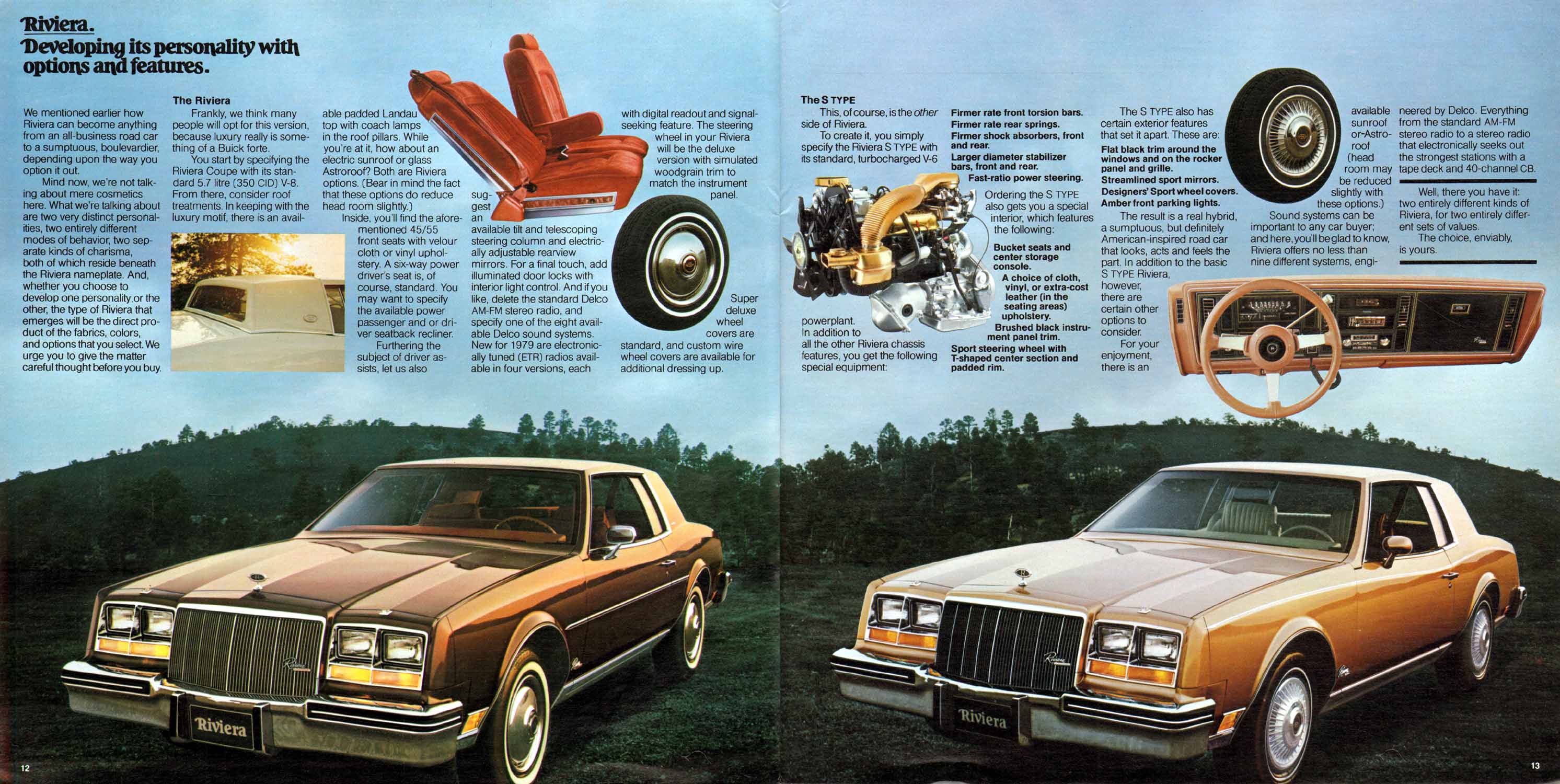 1979 Buick Full Line Prestige-12-13