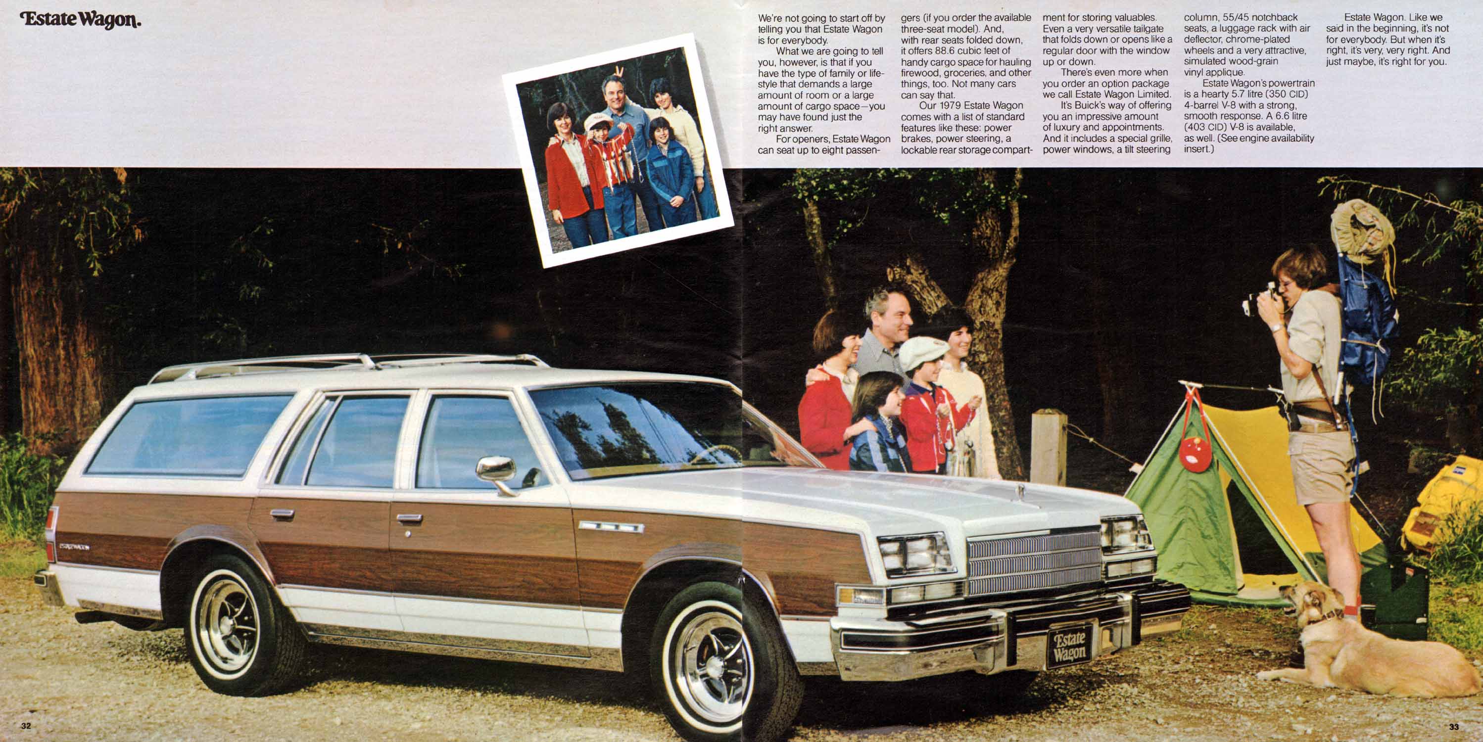 1979 Buick Full Line Prestige-32-33