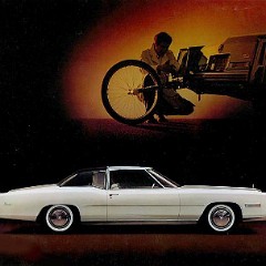 1975_Cadillac-12
