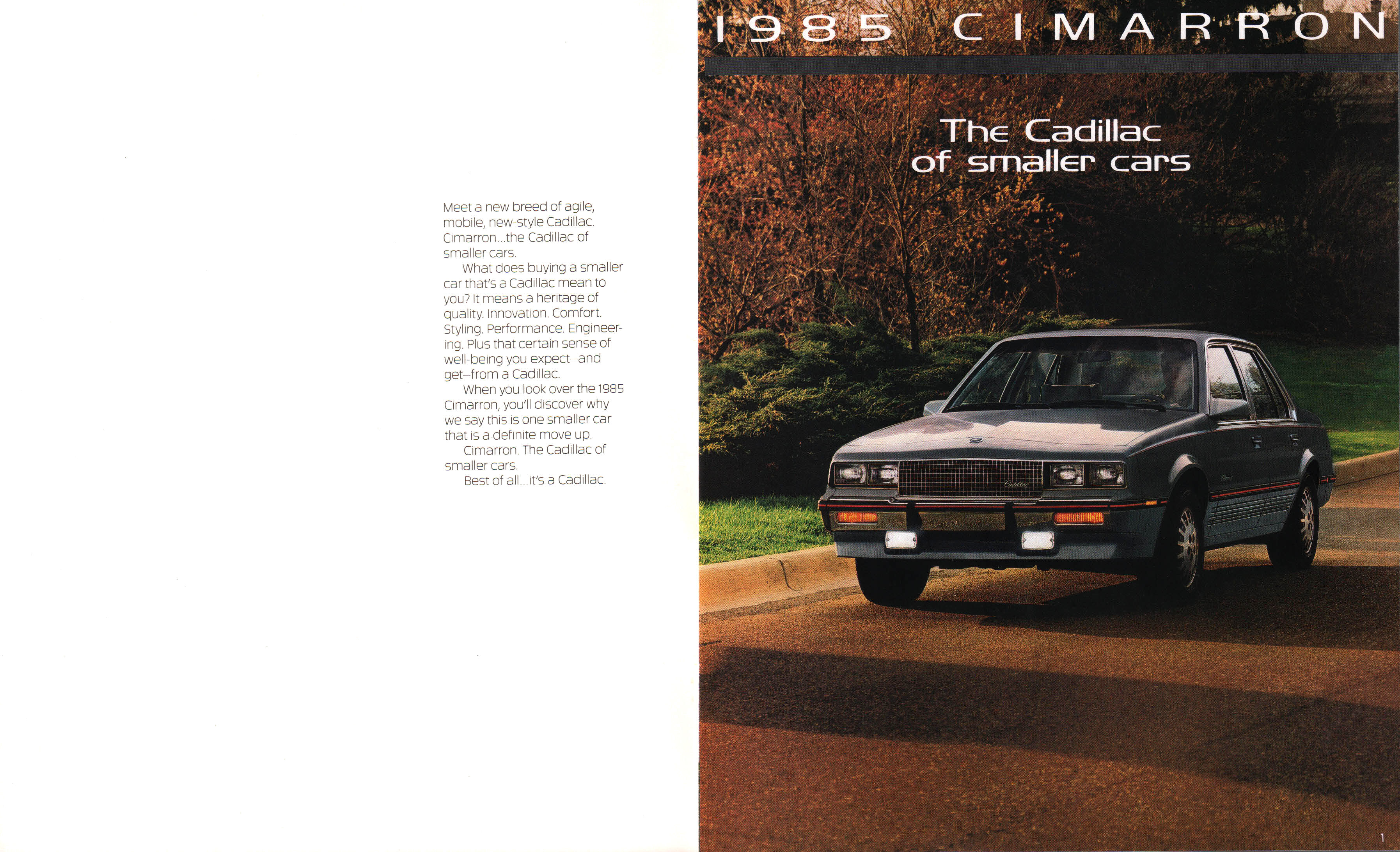 1985_Cadillac_Cimarron-00a-01