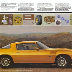 1978_Chevrolet_Camaro-02-03