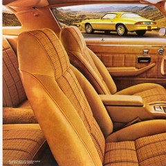 1978_Chevrolet_Camaro-06-07