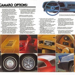 1978_Chevrolet_Camaro-10-11