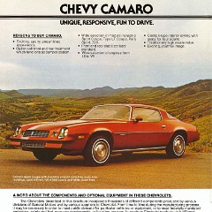 1978_Chevrolet_Camaro-12